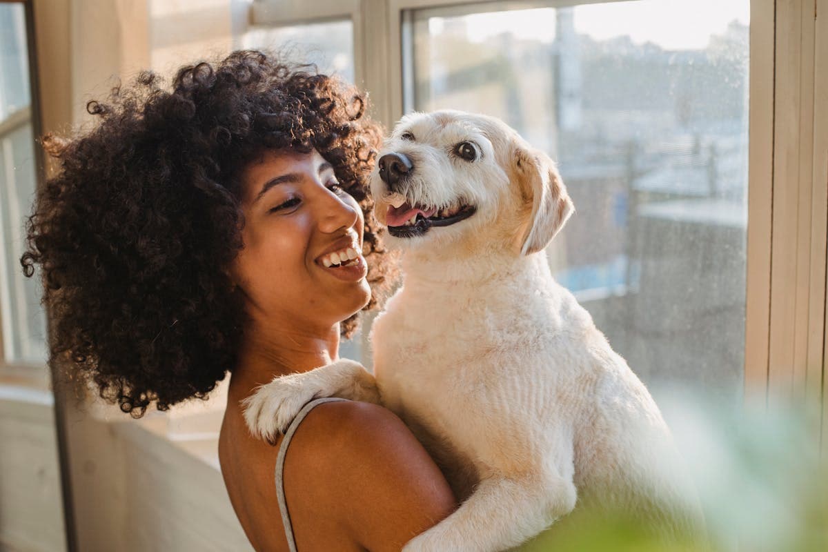Hundebesitzerin mit ihrem Labrador